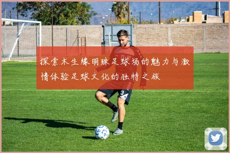 探索木生缘明珠足球场的魅力与激情体验足球文化的独特之旅