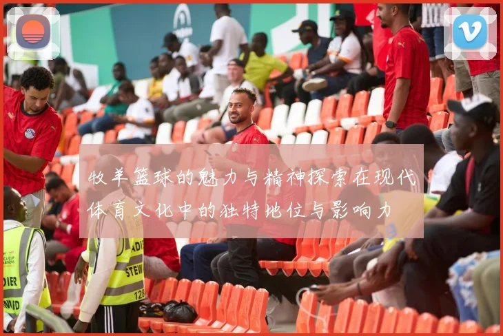 牧羊篮球的魅力与精神探索在现代体育文化中的独特地位与影响力