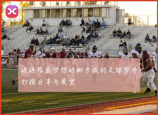 追逐绿茵梦想的脚步我的足球梦手抄报分享与展望