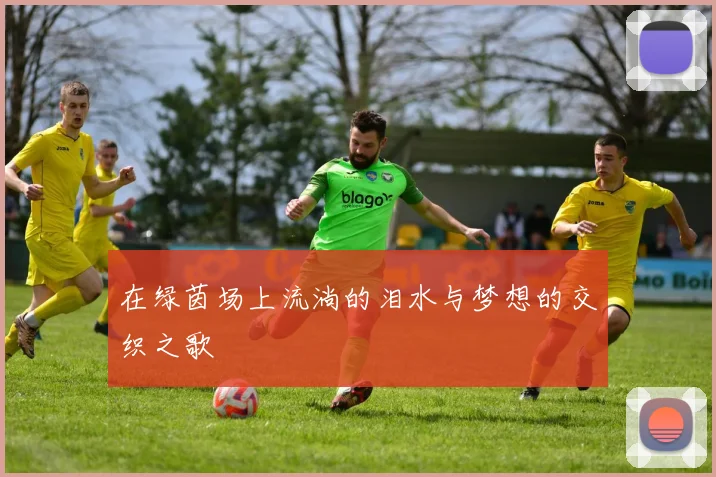 在绿茵场上流淌的泪水与梦想的交织之歌
