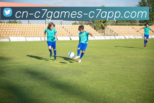 C7娱乐服务体系